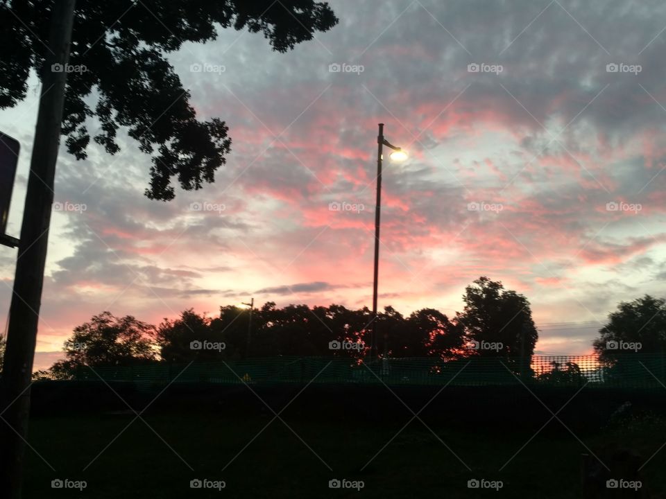 sunset with pink clouds tree line