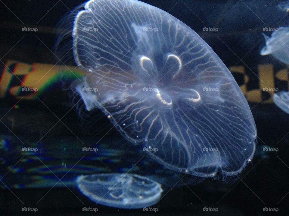 people nature travel color by itsAus