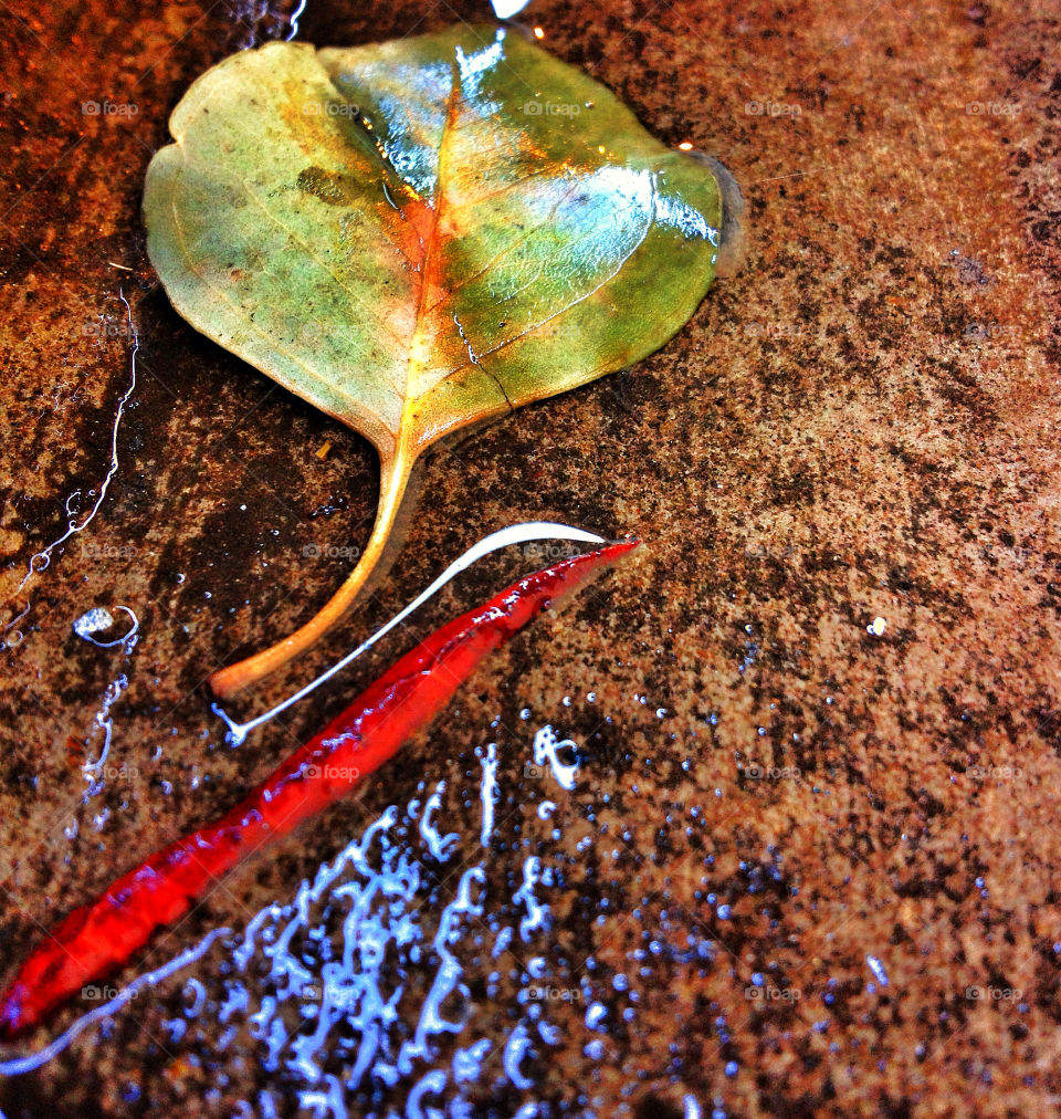 green blue of red by analia