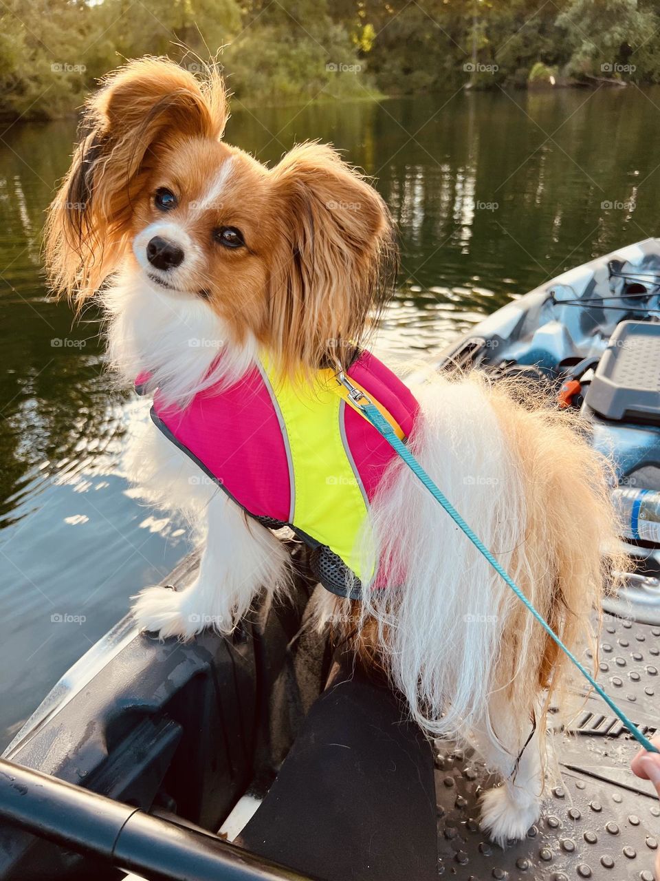 This little pup Sophia Claire couldn’t be happier out in her favorite kayak!! Pure happiness!! 