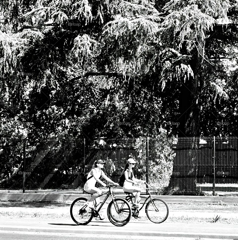 Saturday activities,  riding a bike on a sunny summer day. The beauty of mature trees and their branches swaying in the wind. A lovely portrait of a sunny day. Timeless in black and white.