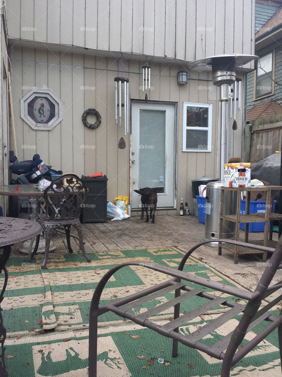 Christmas in the City