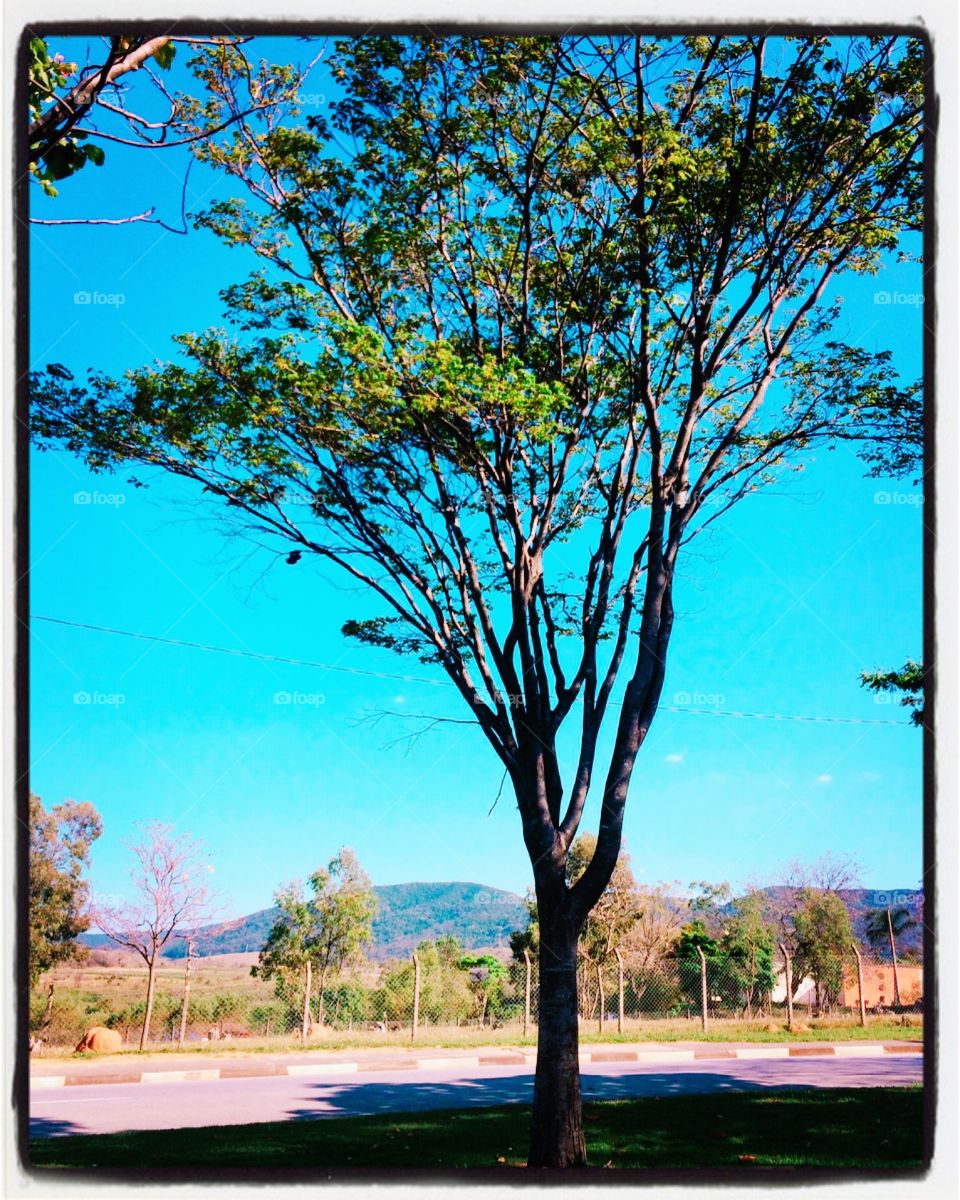 5 minutos parado, admirando a #SerraDoJapi, a fim de espairecer a mente...
Xô #stress. Xô cansaço. Xô desânimo.
🧠
#Desestressando #relaxandoamente #céu #natureza #paisagem #fotografia 