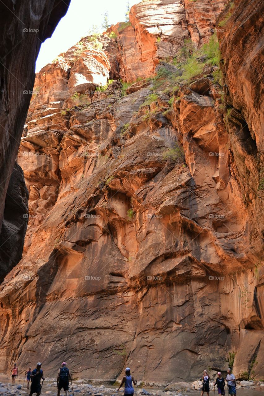 People hiking in Zion Narrows 