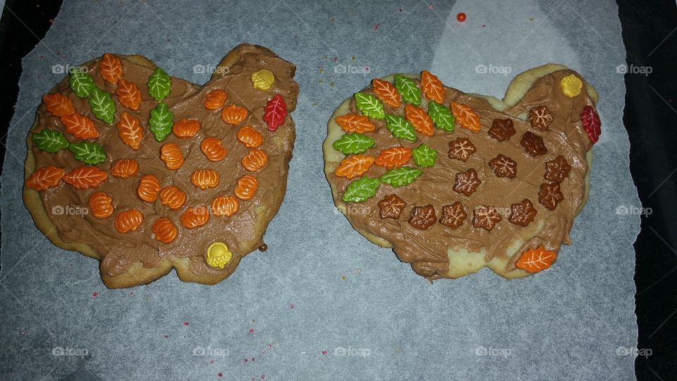 Turkey cookies