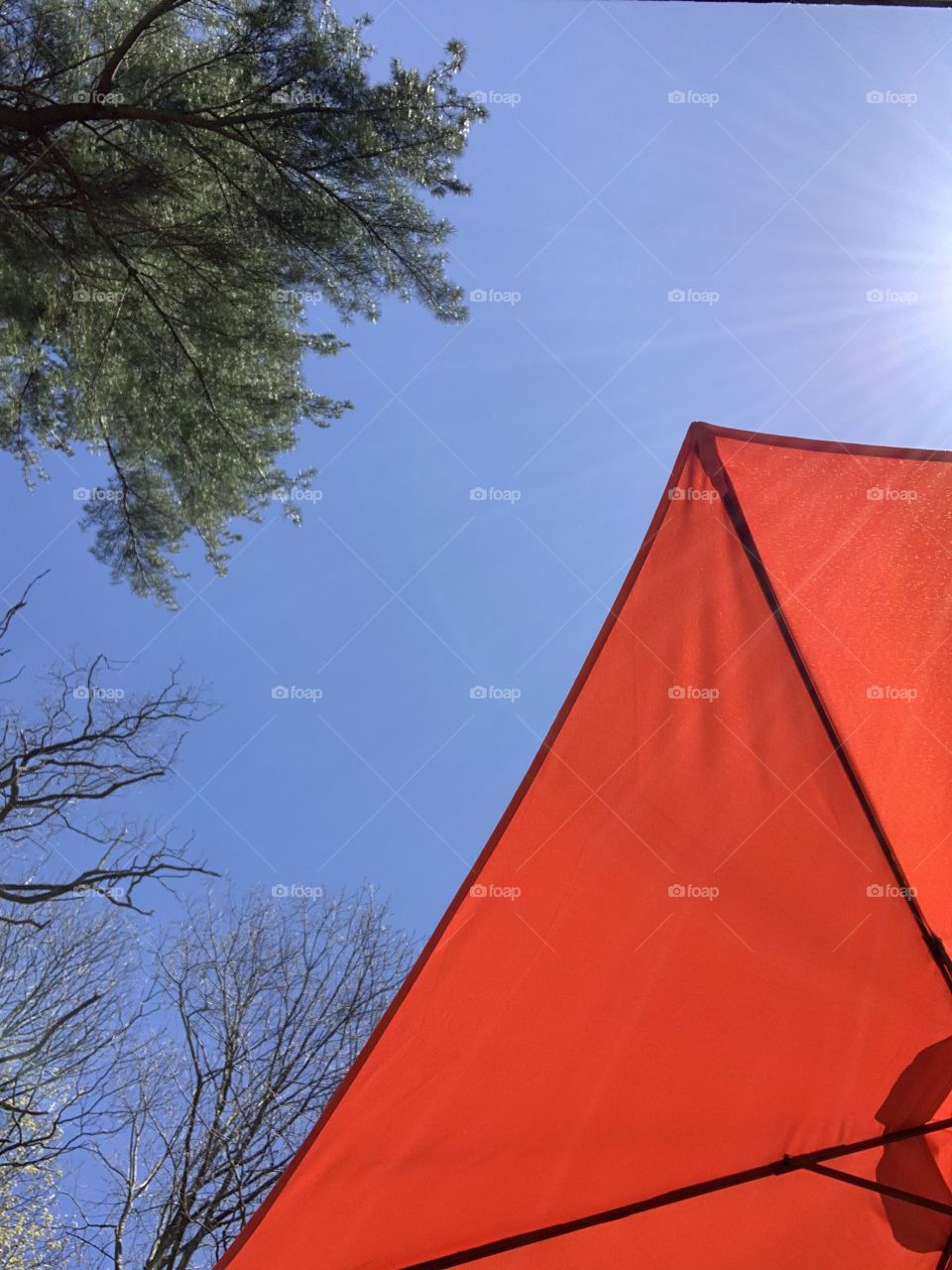 Let’s celebrate the sun