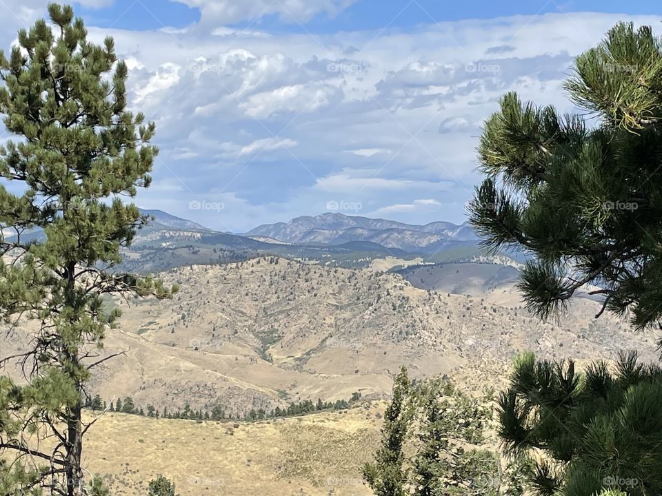 Tree Framed Mountains