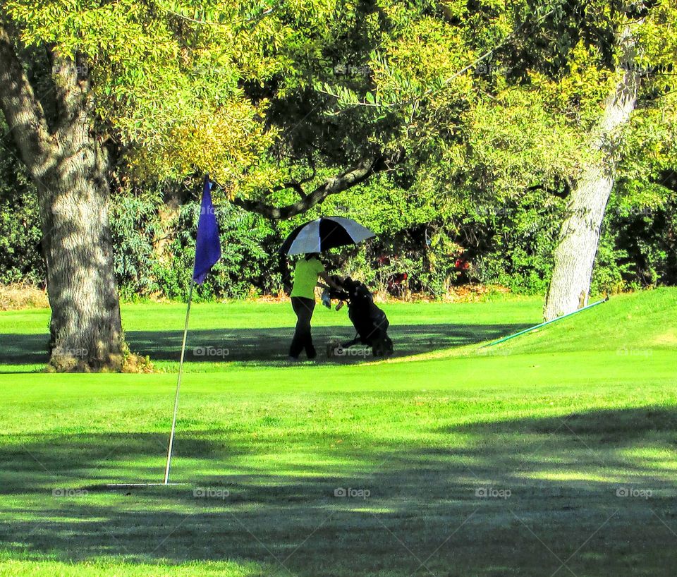 Golf, Golfer, Course, Putt, Fairway