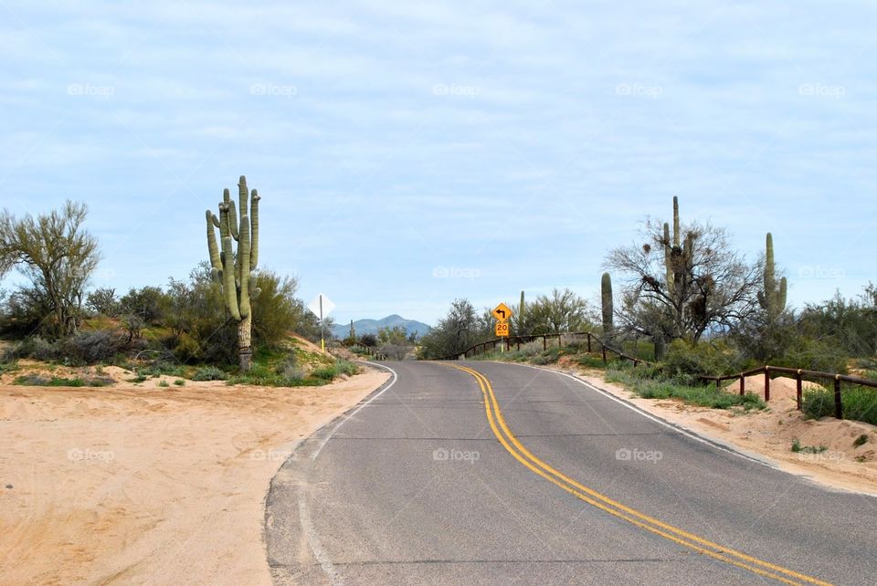 Arizona roadway