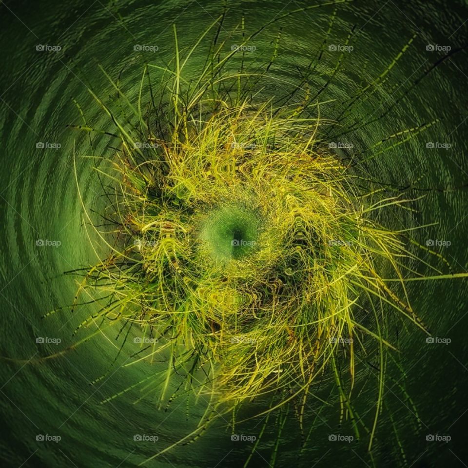 Contrast abstract colorful