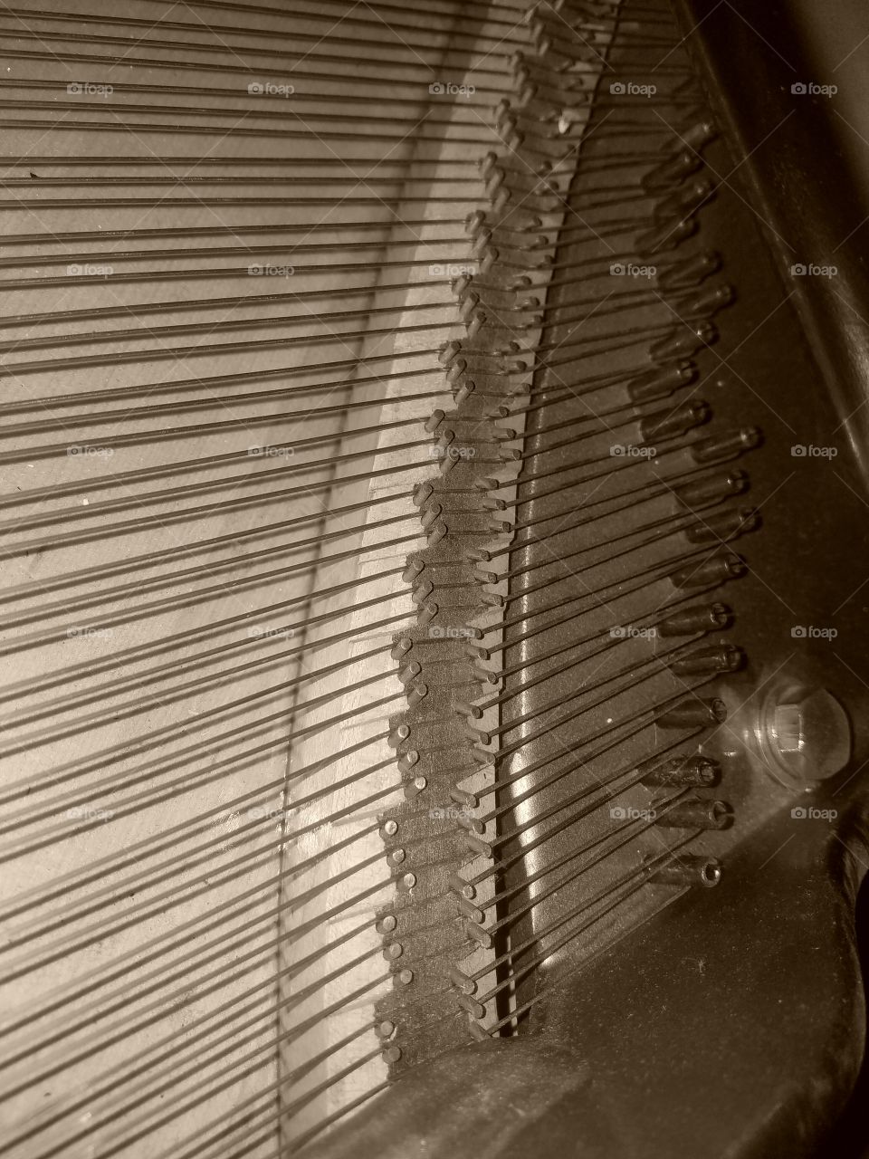 piano strings