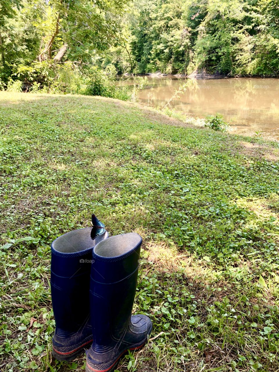 Enjoying Bluewater Creek while butterfly enjoys my rubber boots 