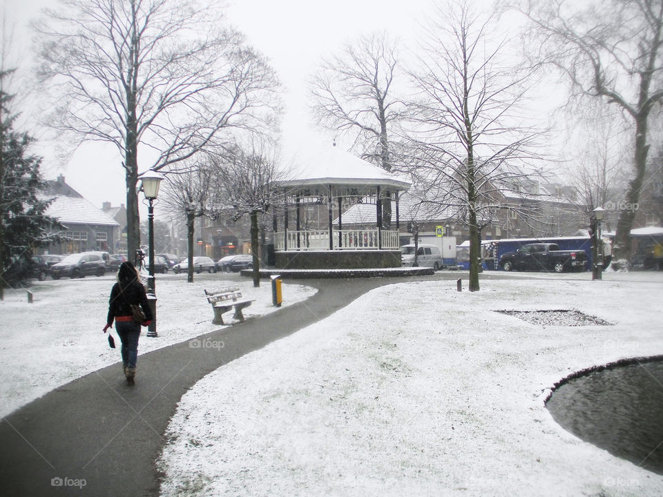 Park in the Winter