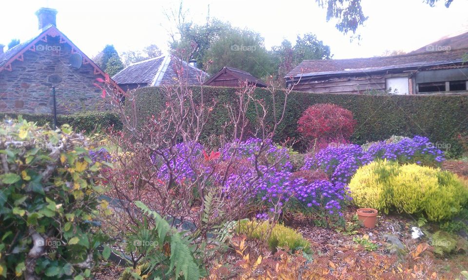 Loch Lomond Garden