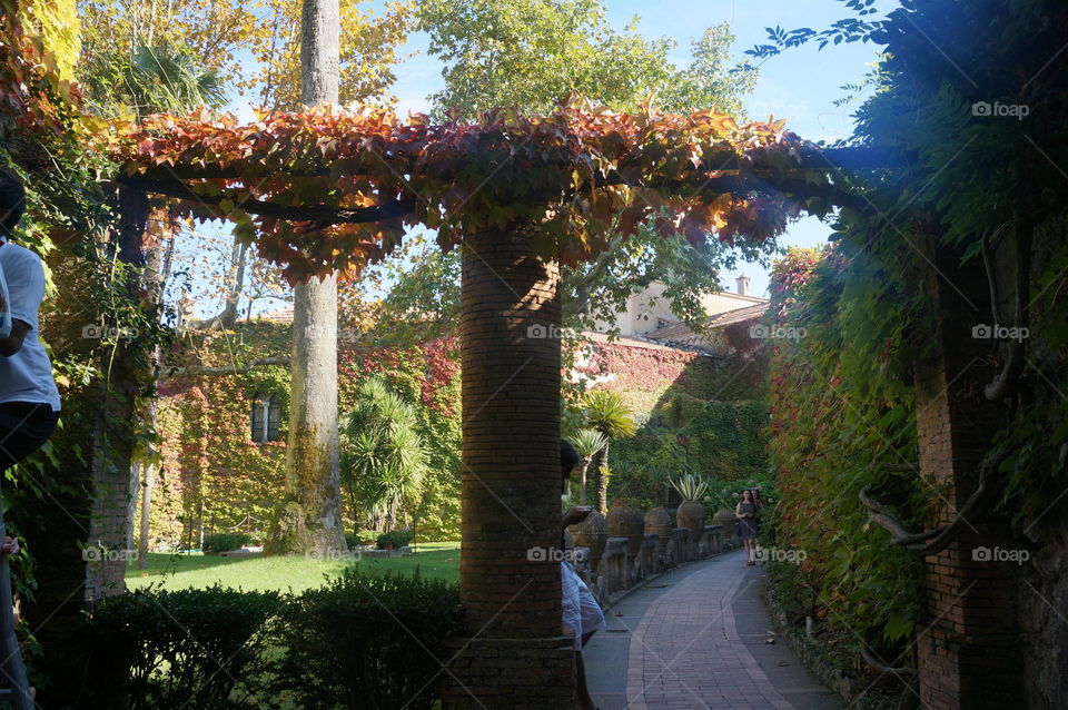 Canopies, gardens and old houses