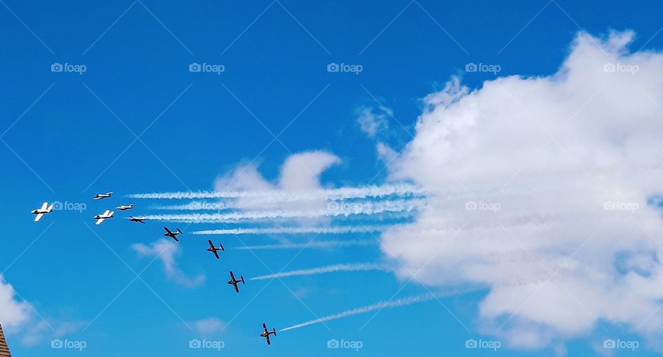 snowbirds