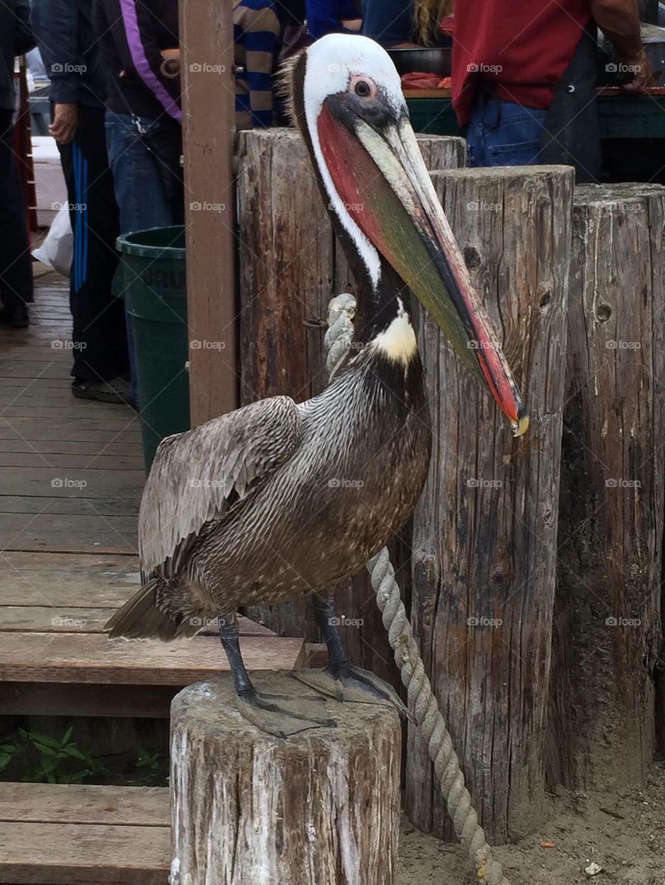 Close up and personal