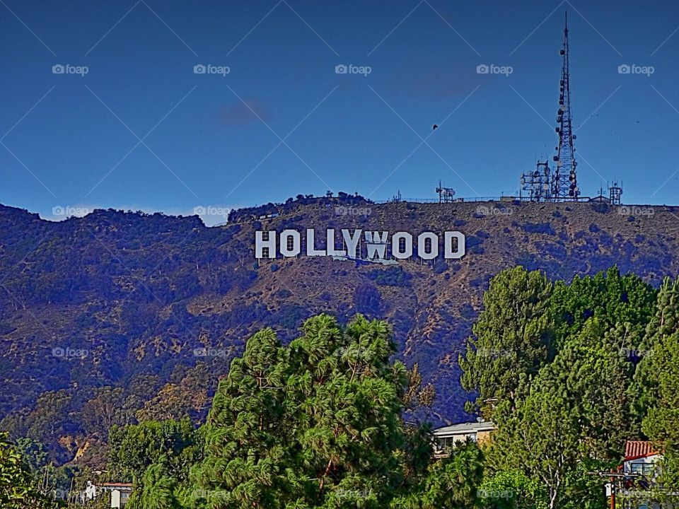 Hollywood