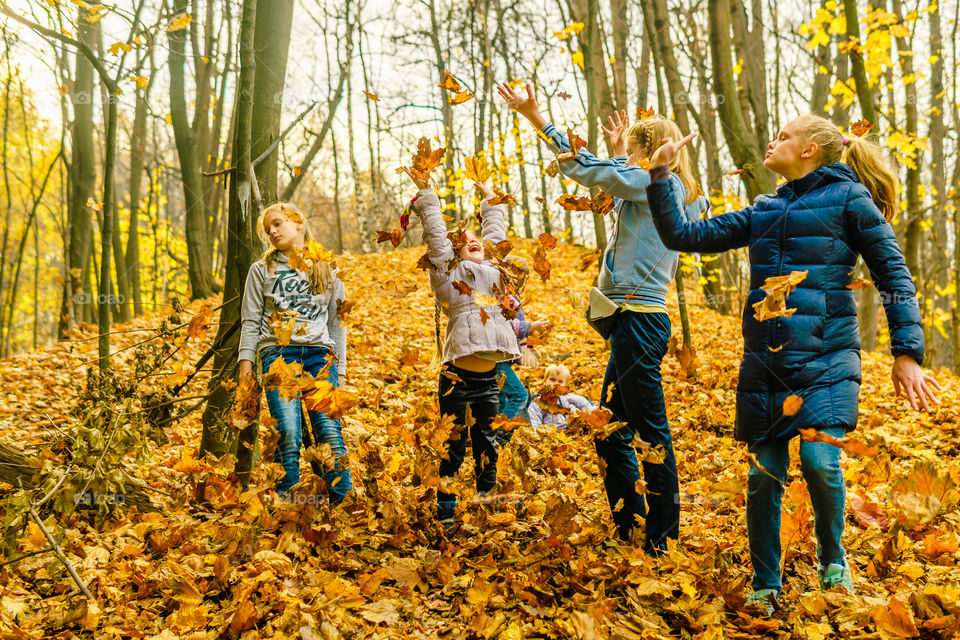 Fall foliage in the park with kids