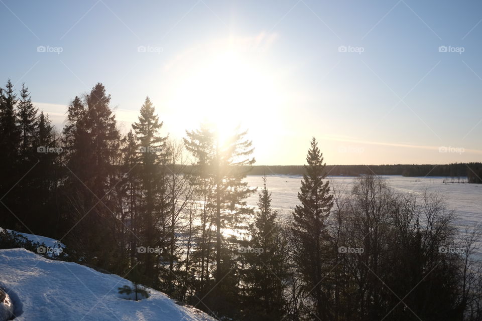 Snow, Winter, Tree, Cold, Landscape