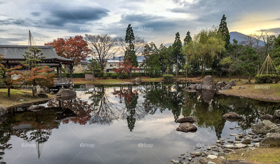 Japanese garden