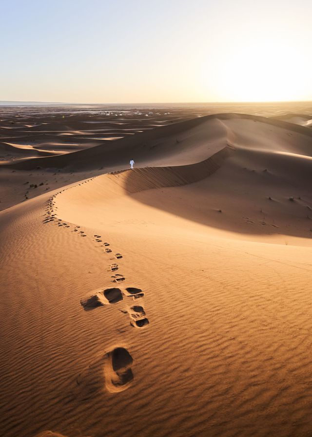 desert view