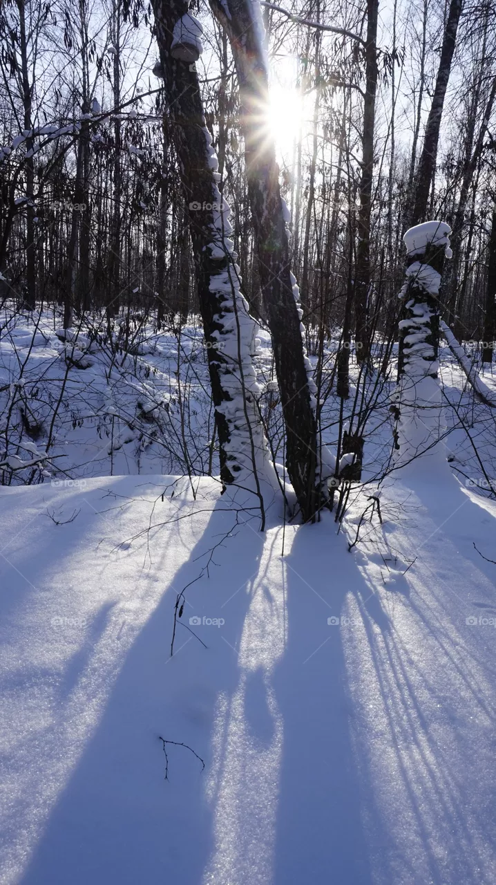 winter