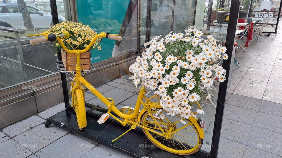 Bicicleta primaveral