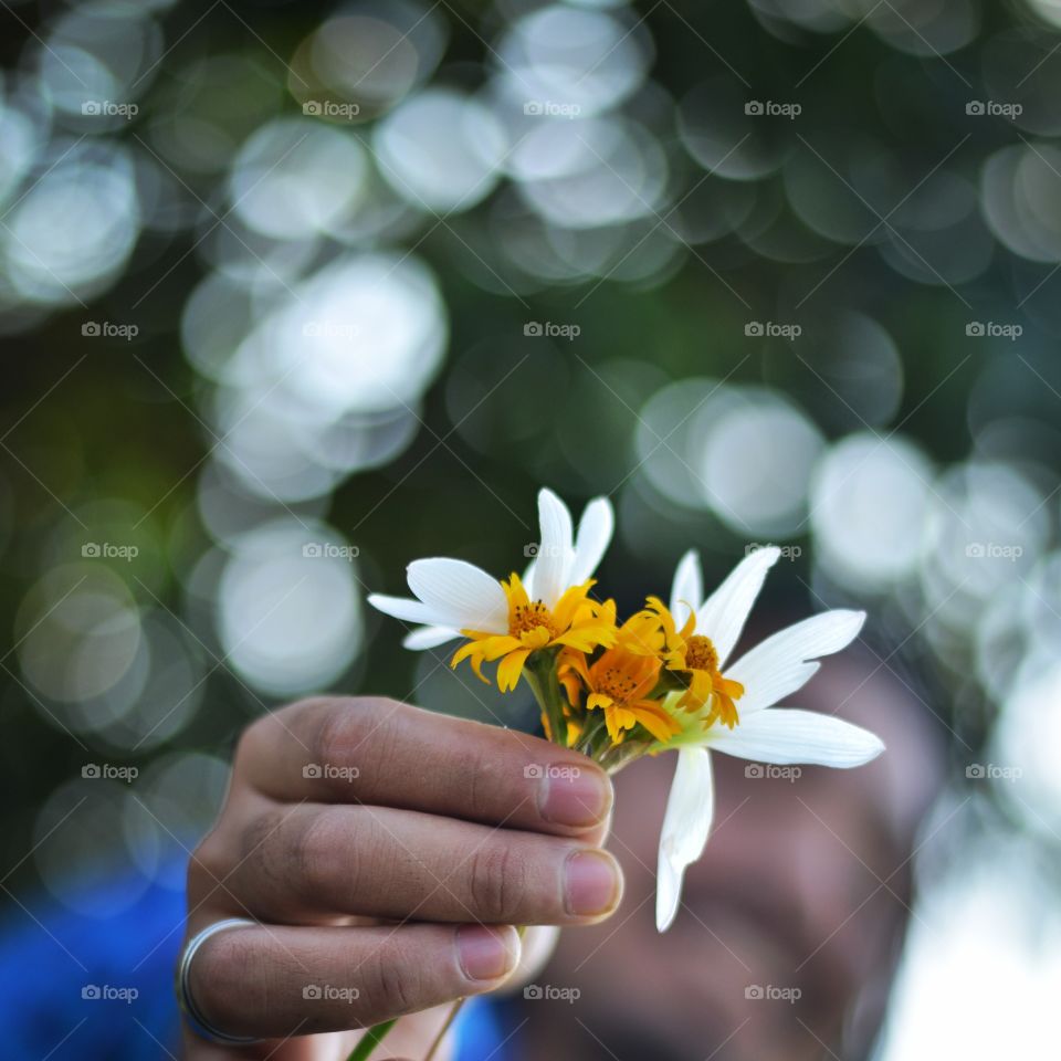 Flower, Nature, Love, Summer, Easter