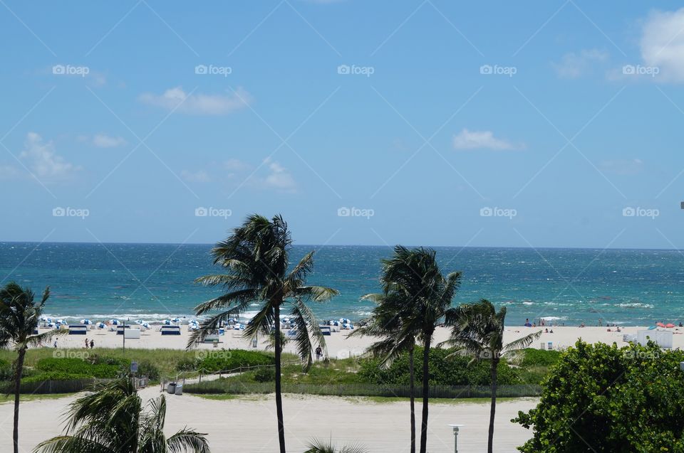 Miami Beach, Florida