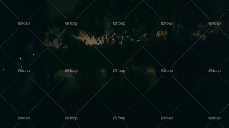 Dark outdoor scene by lake.