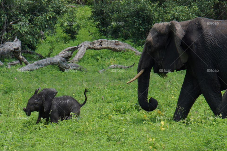 Fun with mummy