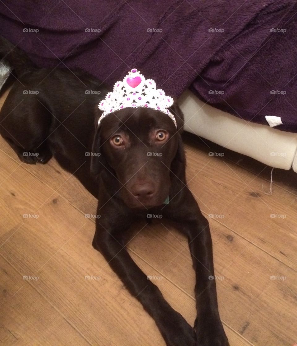 Princess Millie on her birthday 