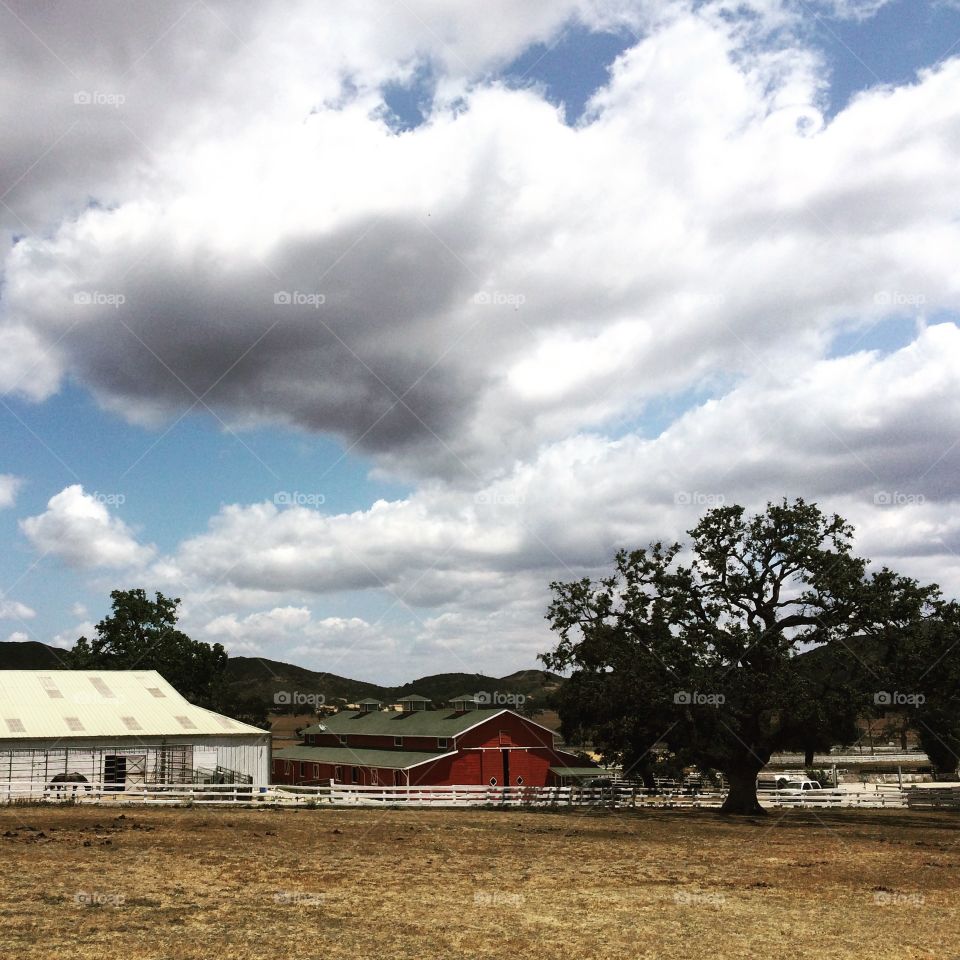 Thousand Oaks Barn