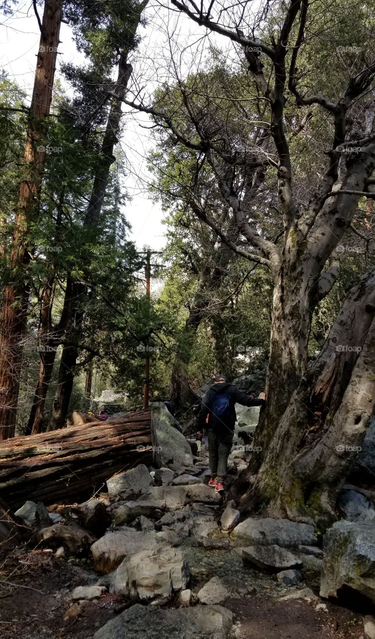 Man hiking in the woods