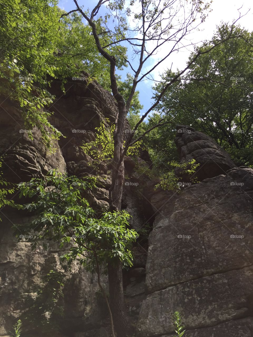 Pulpit Rocks in Smithfield, PA