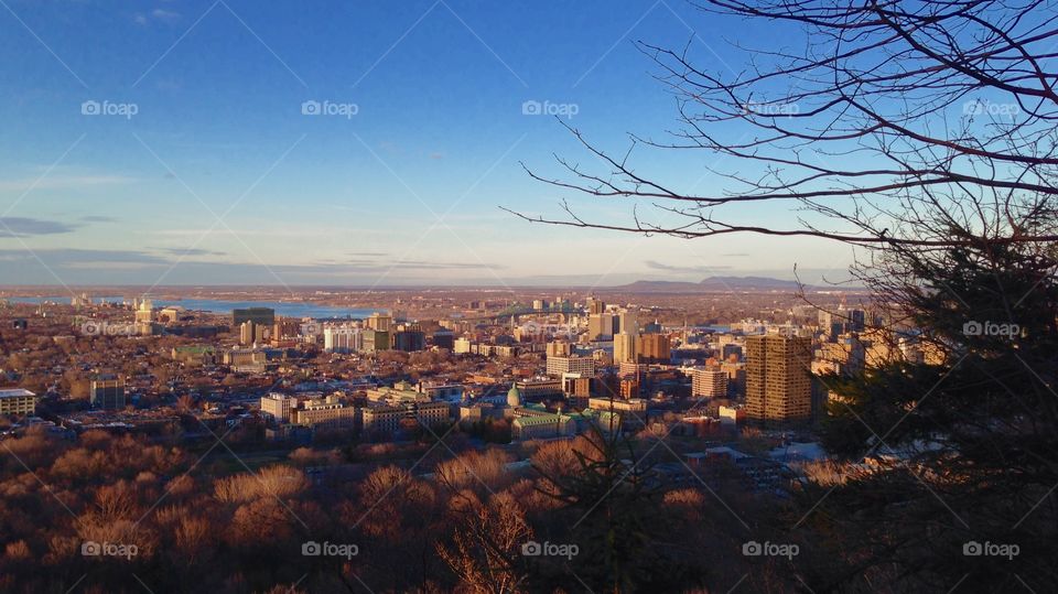 Birds view of Montreal