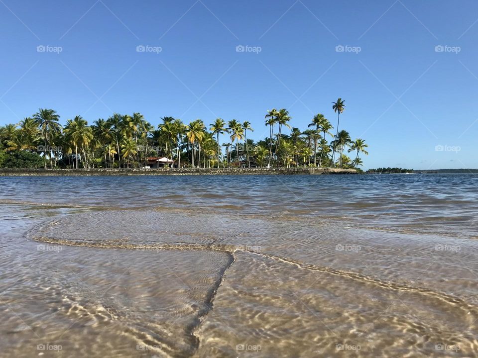 sandbar overlooking the island of Goio, in the Maraú Peninsula, Bahia, Brazil