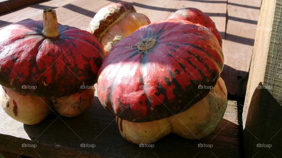 colored pumpkins