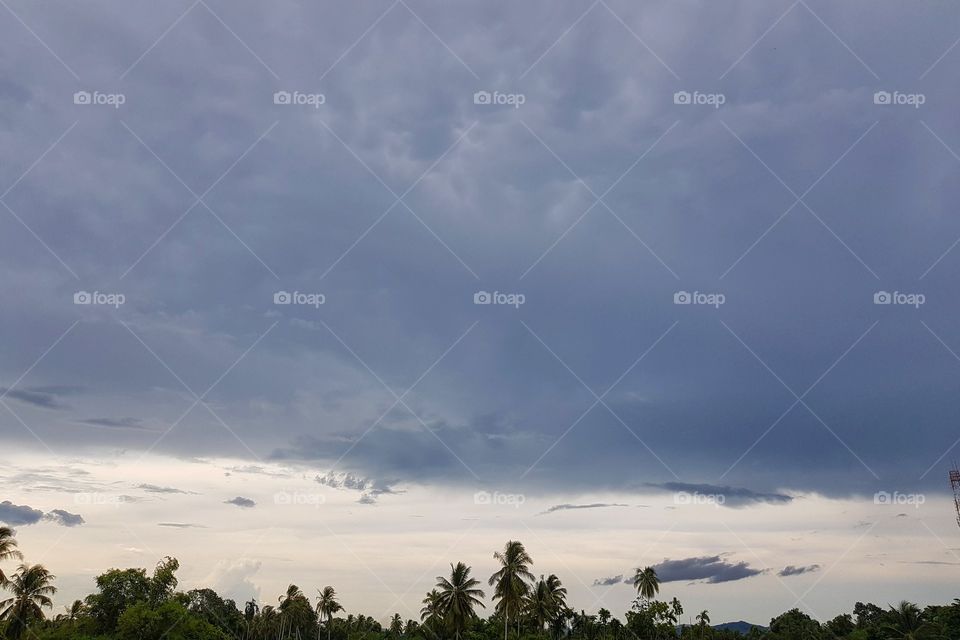 Scenic view of rural area against sky