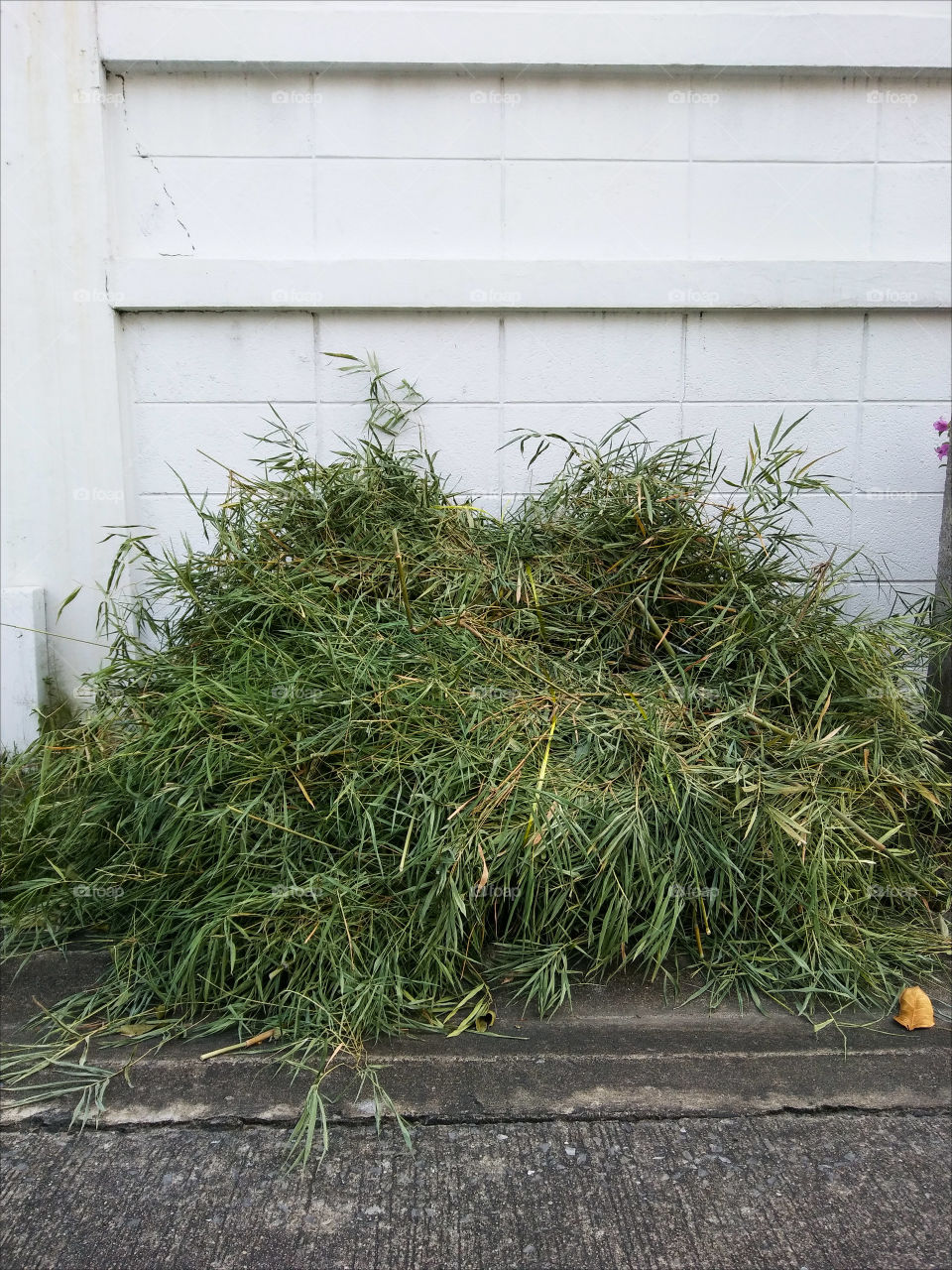 Cutting grass and bamboo