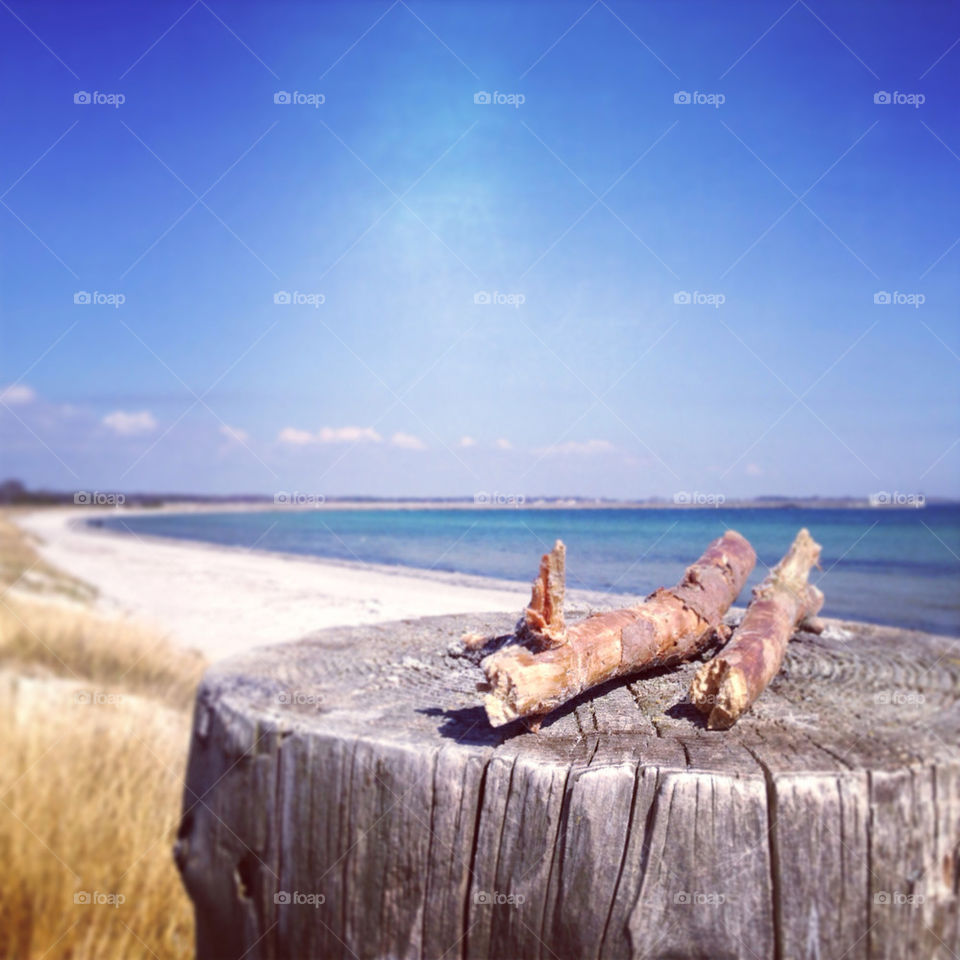 Vår på Ljunghusen strand
