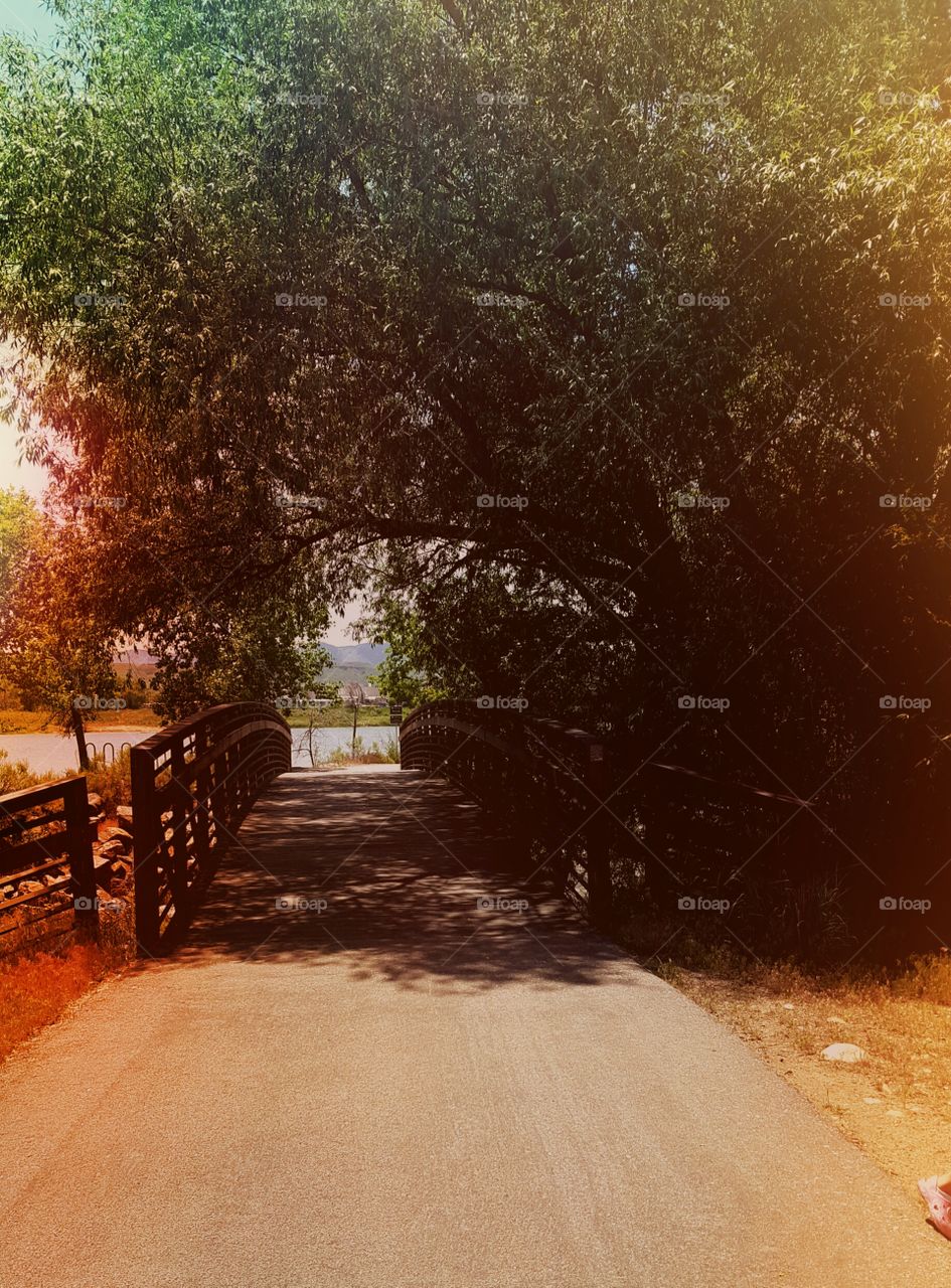 Sunlight on empty road