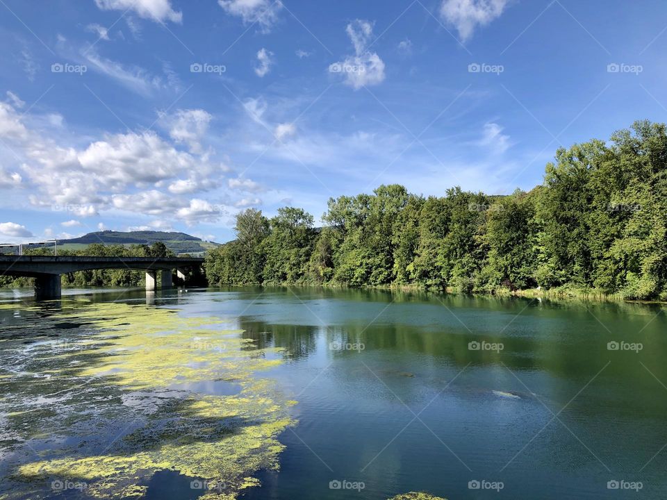 River with seaweed in summer