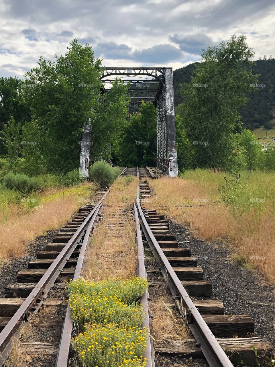 Abandoned railroad tracks and bridge