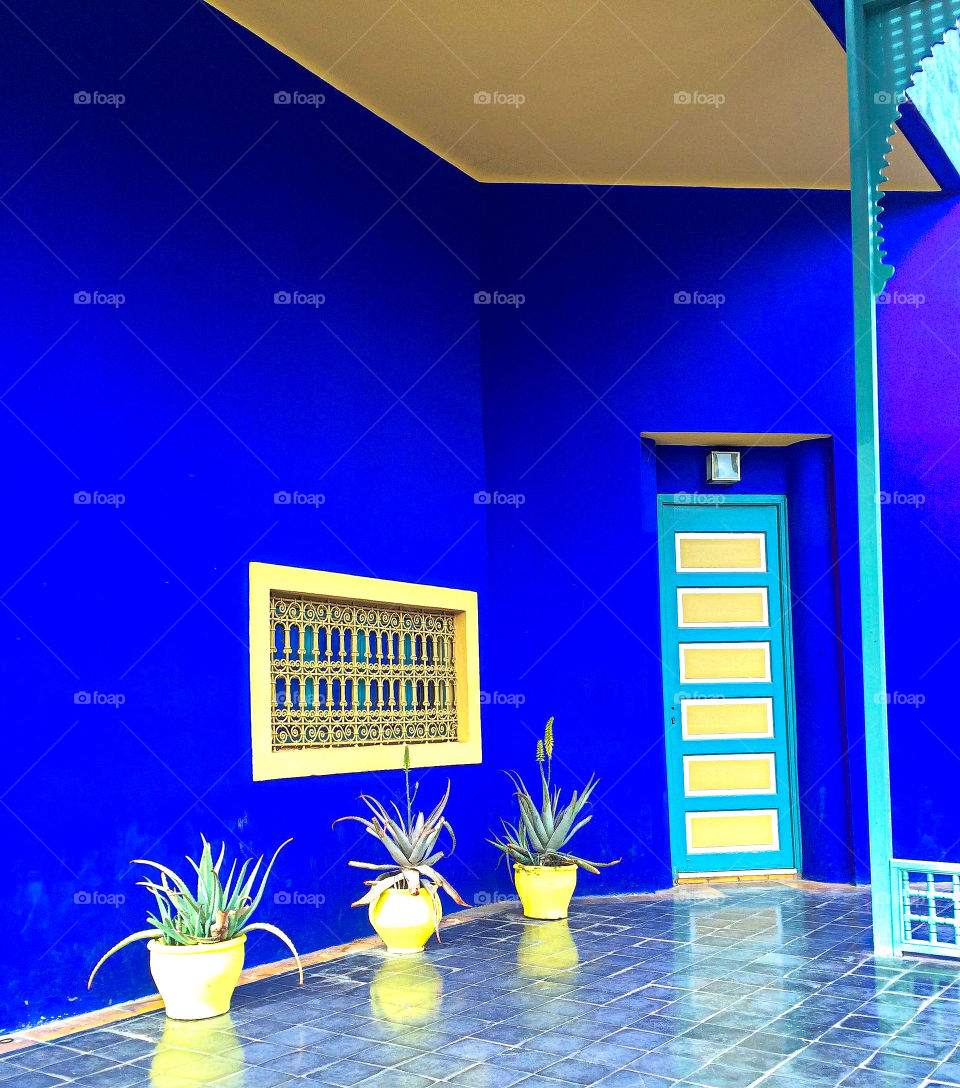 Shot at the Majorelle Jardins while traveling through morocco. 