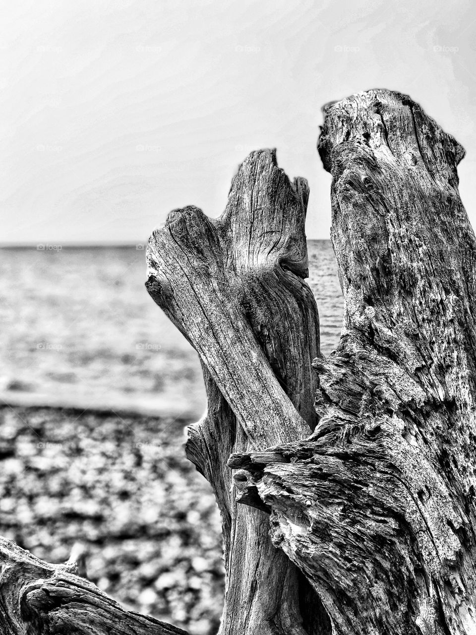 Just because you are stranded ashore doesn’t mean you can’t make this island of yours a home. 