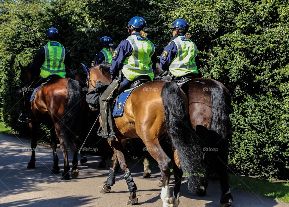 Horsebackriding police. Police on horses