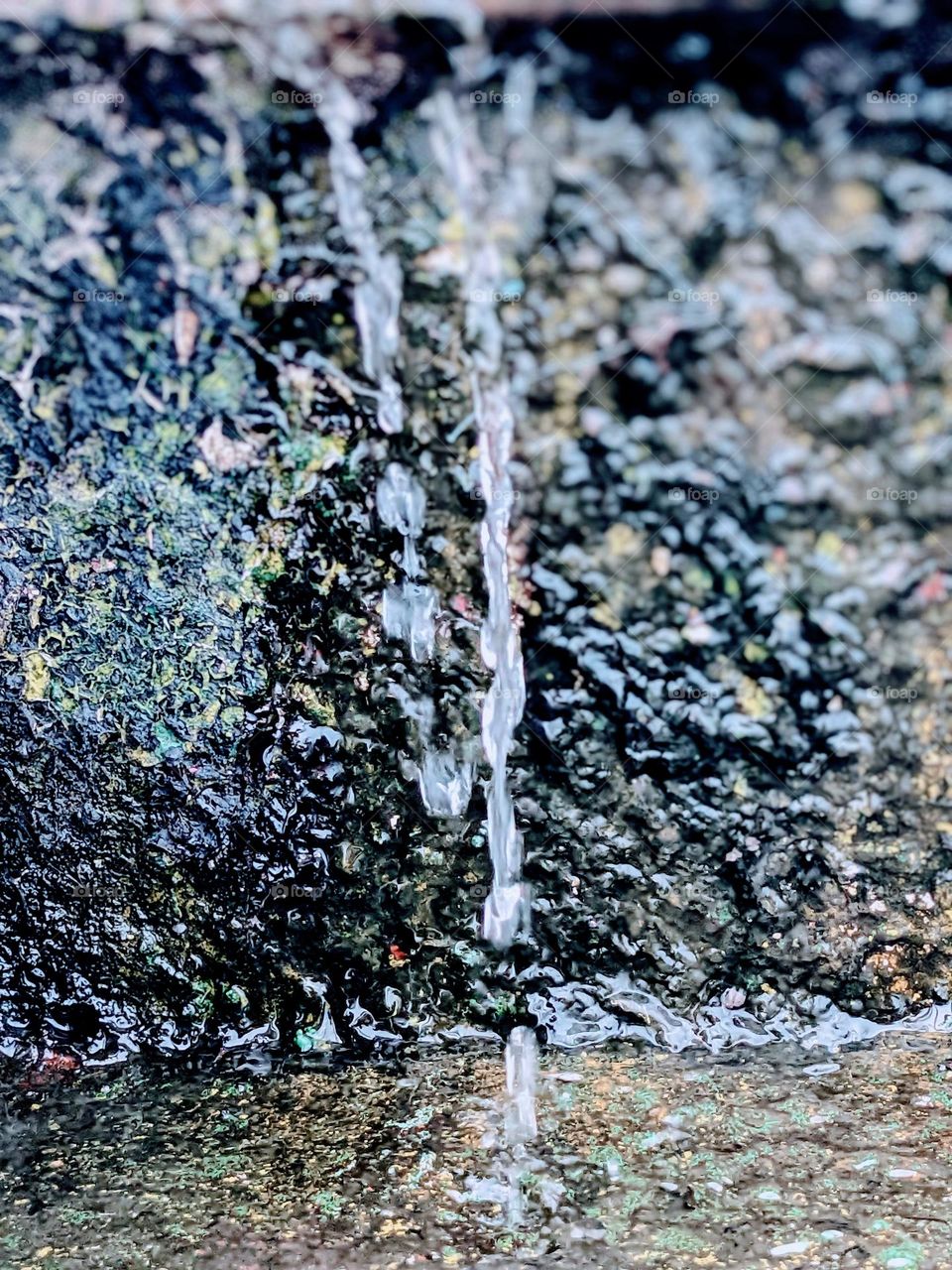 water drops on the mossy stairs