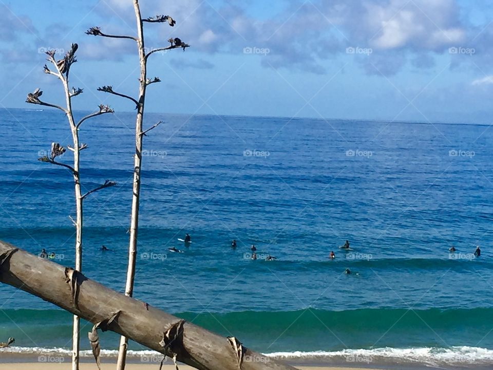 Redondo Surfers